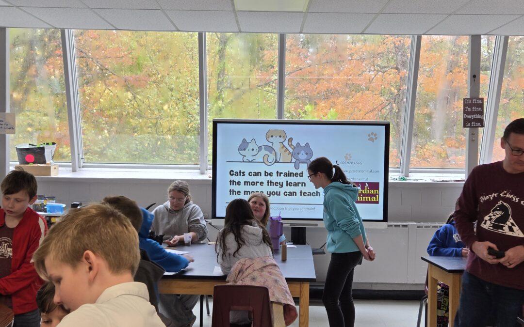 Operant training in kittens