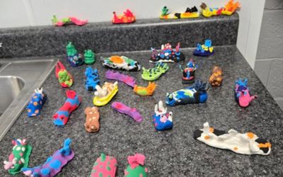 Pet article: Nudibranchs